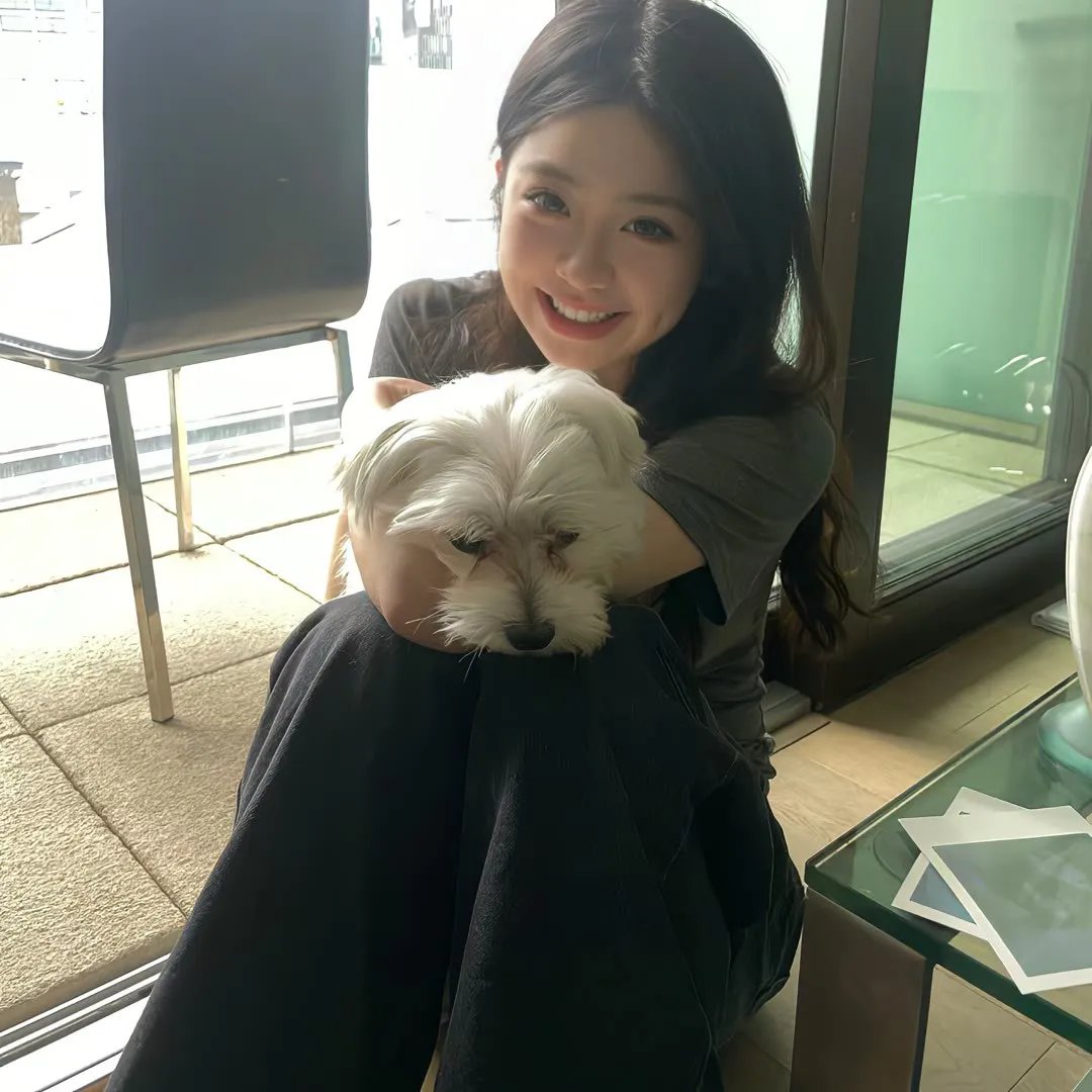 毕正明的证明海报